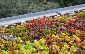 the cost of Westown green roof installation