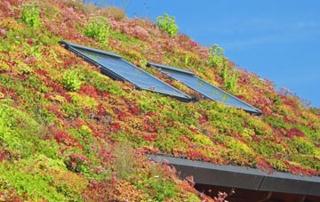Westown living roof systems