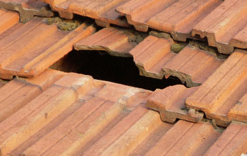 roof repair Westown
