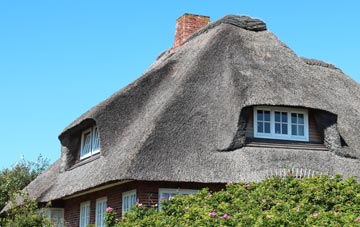 thatch roofing Westown